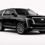 Black Cadillac Escalade SUV Limo